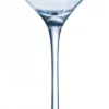 Chef & Sommelier New Martini Cocktailschule 21 cl