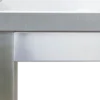 Edelstahl Arbeitstisch Profi 1000 x 600 mm - mit Grundboden und Aufkantung