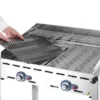 Gasgrill Green Fire PROFI LINE - 2 Brenner