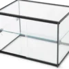 Kuchenvitrine aus gehärtetem Glas - 555 x 390 x 375 mm