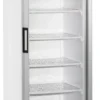 Nordcap Glastürtiefkühlschrank TK 300 G