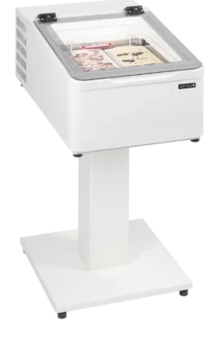 Tefcold Streicheis-Gefriertruhe ICE2