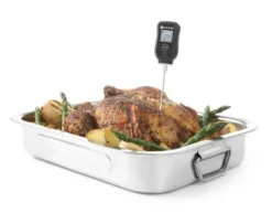 Thermometer "digital" mit Stiftsonde 55-350g