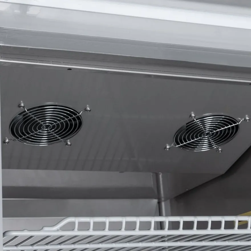 Tiefkühlschrank Avantis 700 GN 2/1